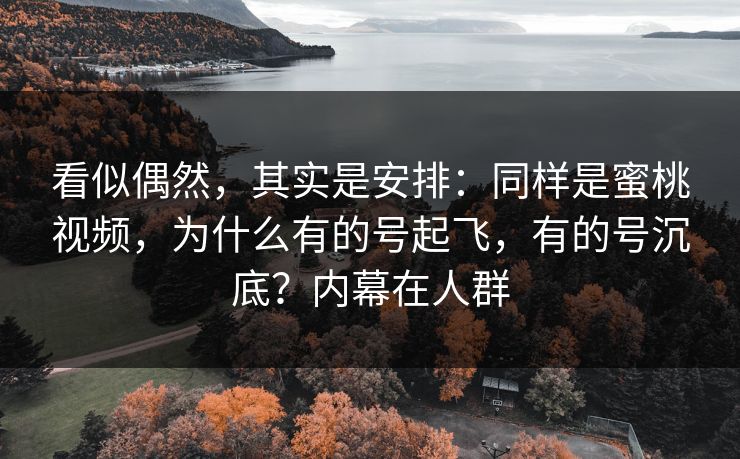 看似偶然,其实是安排:同样是蜜桃视频,为什么有的号起飞,有的号沉底?内幕在人群